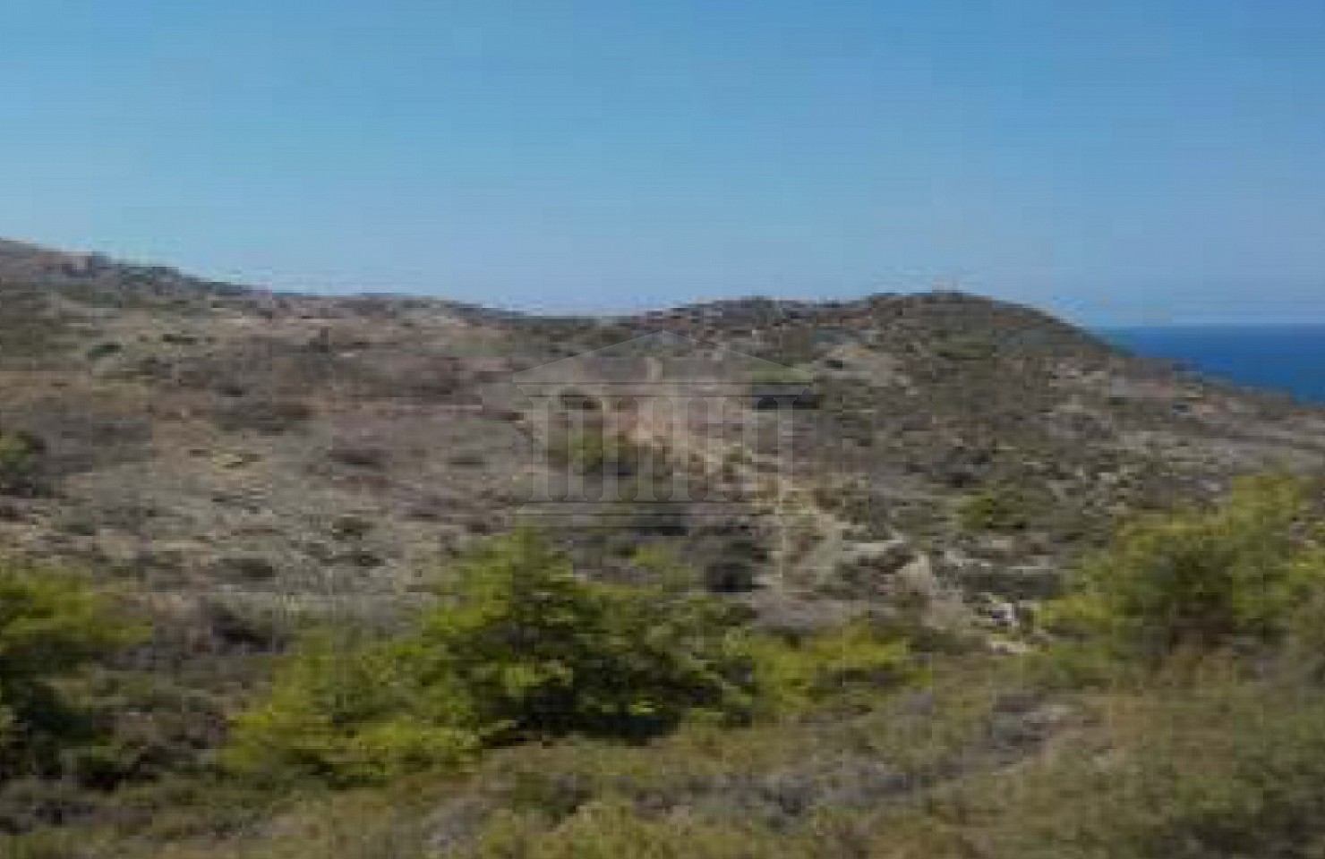 Seven fields in Pigenia, Nicosia