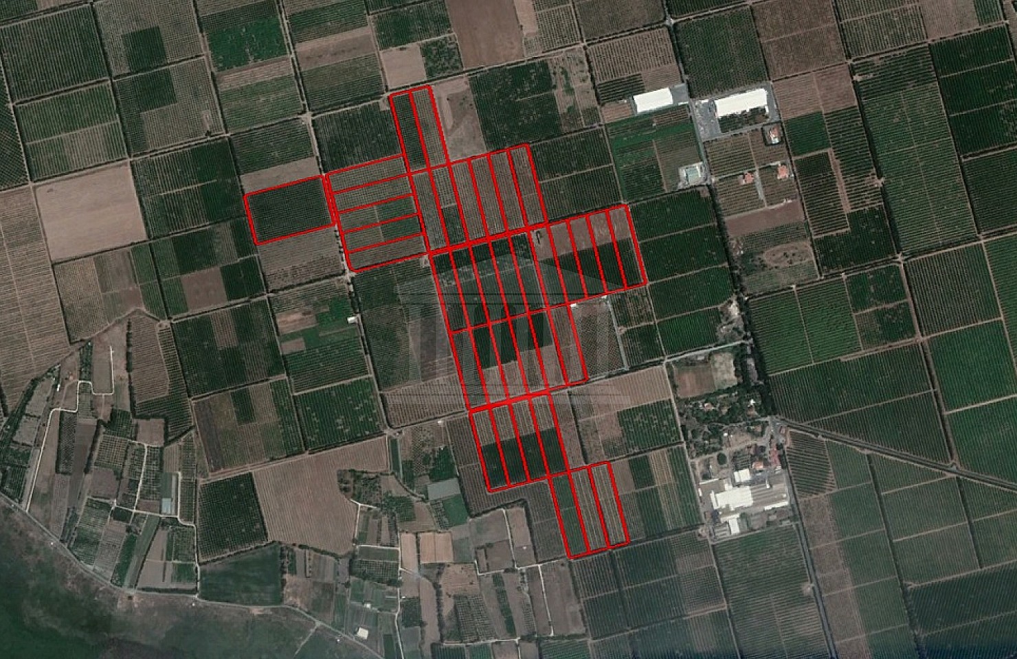 37 Fields in Akrotiri, Limassol