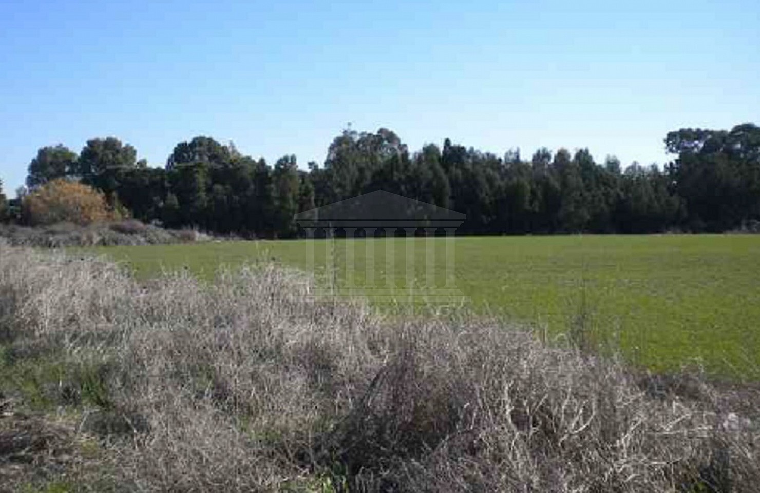 Three Fields in Lakatameia, Nicosia