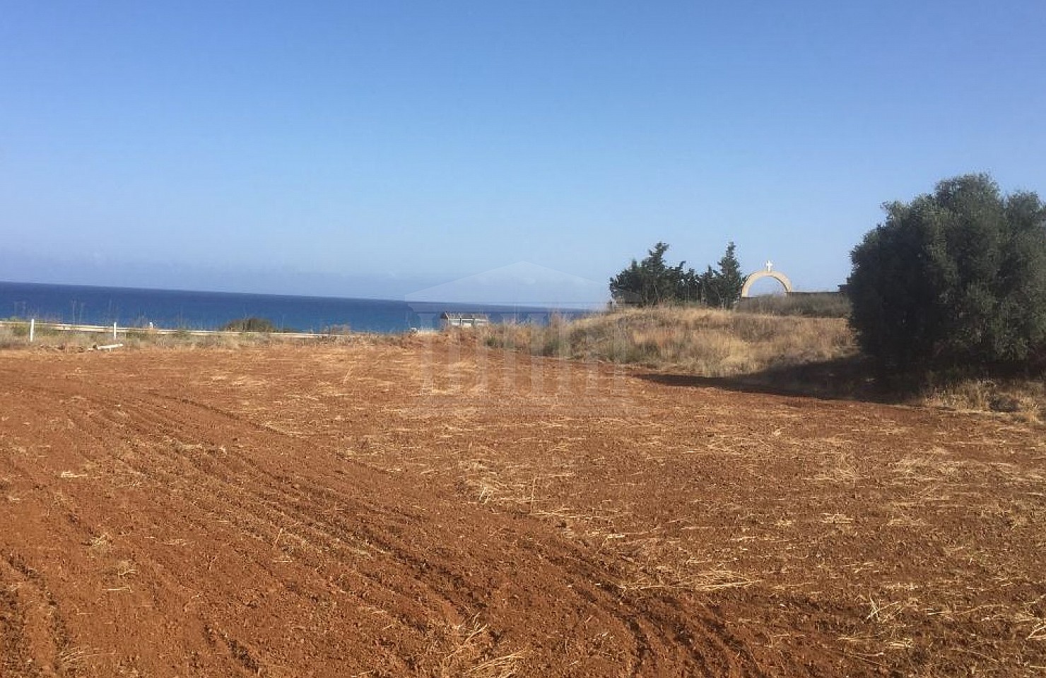 Field in Nea Dimmata, Paphos