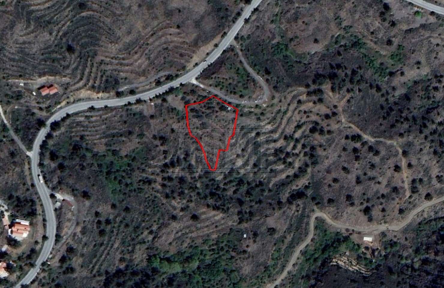 Field in Palaichori, Nicosia