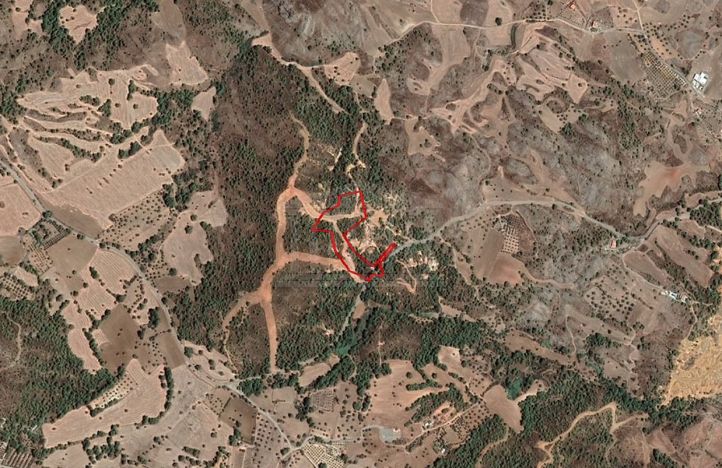 Share of Field in Sia, Nicosia