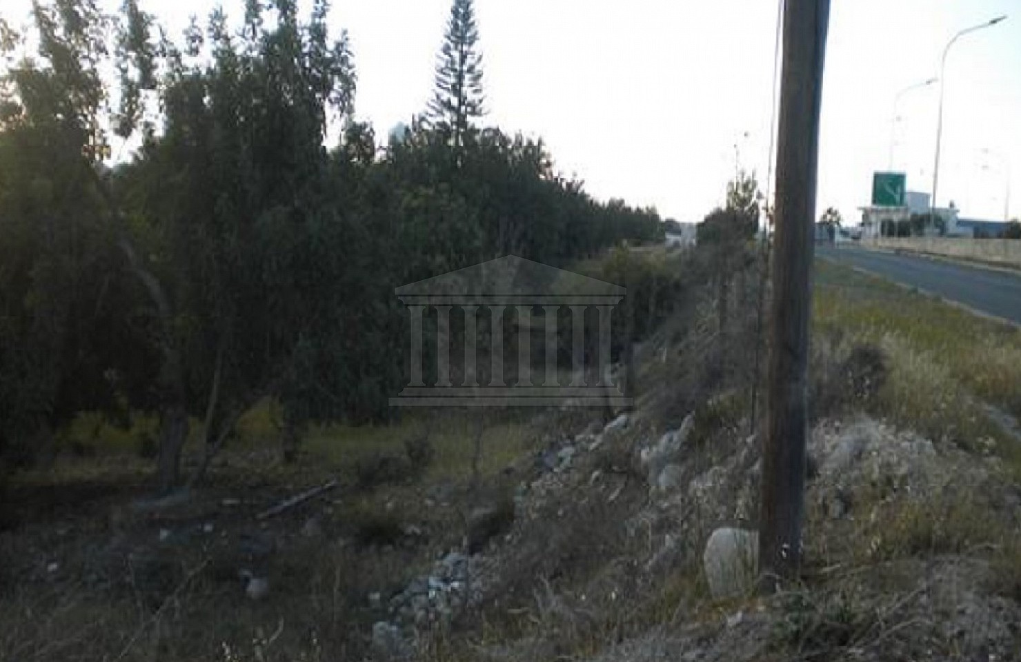 Field in Aradippou, Larnaka