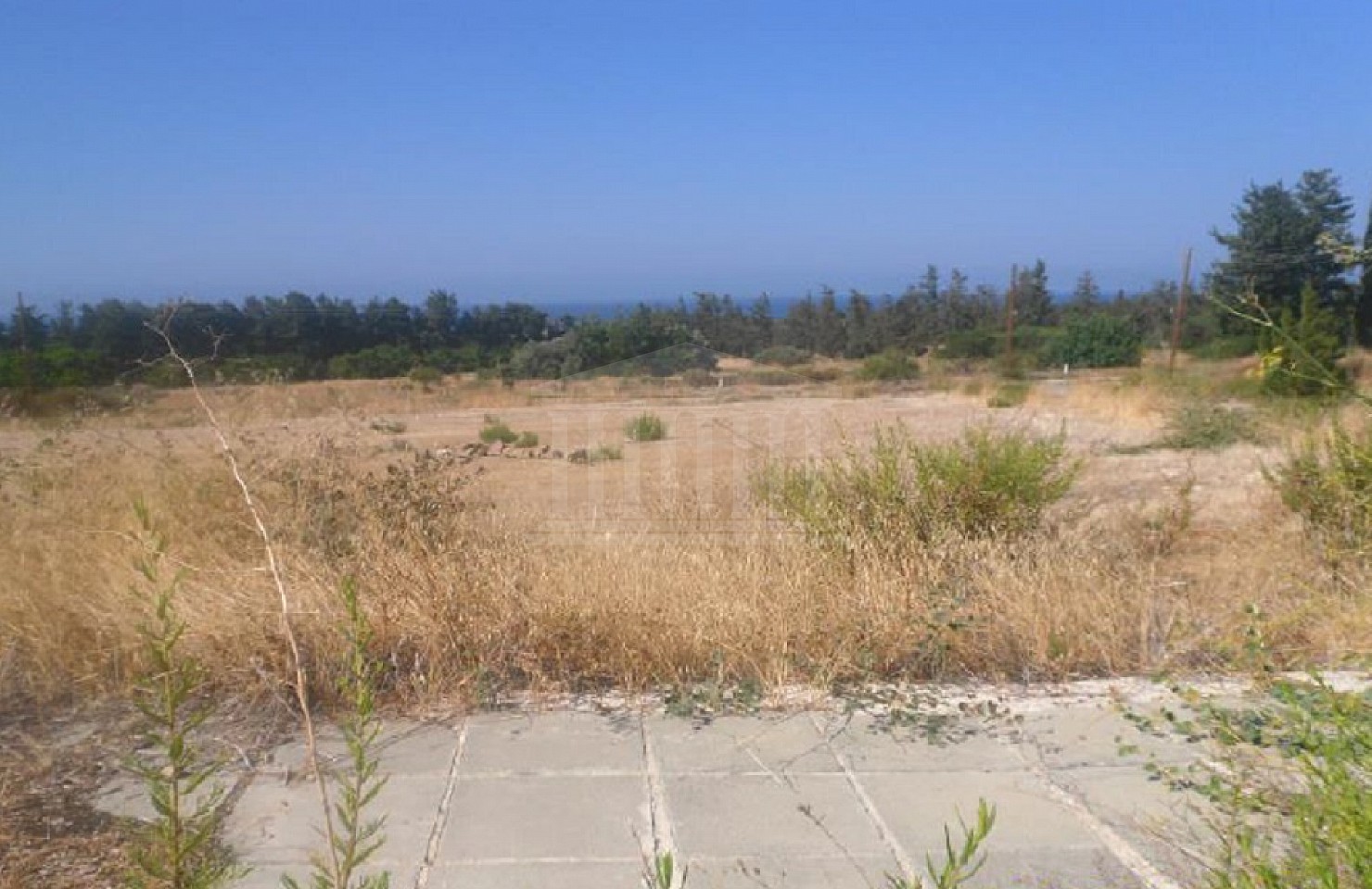 Plot in Kouklia, Paphos