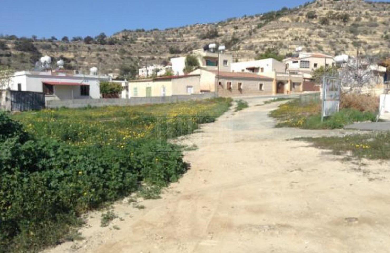 Field in Oroklini, Larnaka