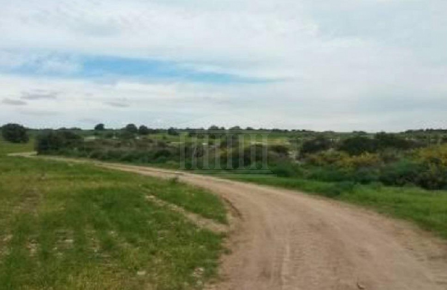 Two Fields in Agios Theodoros, Larnaka