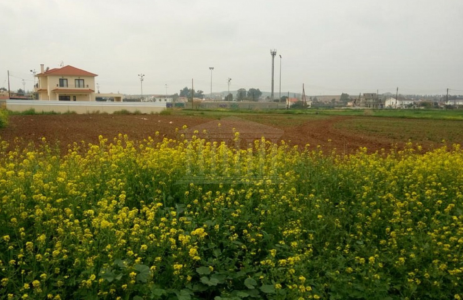 Four Fields in Pano Deftera, Nicosia