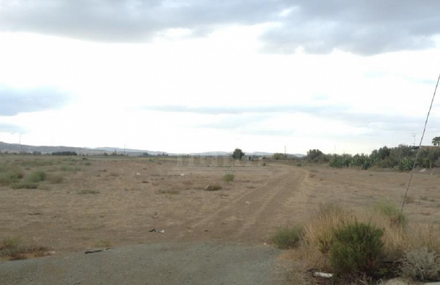 Field in Kiti, Larnaka