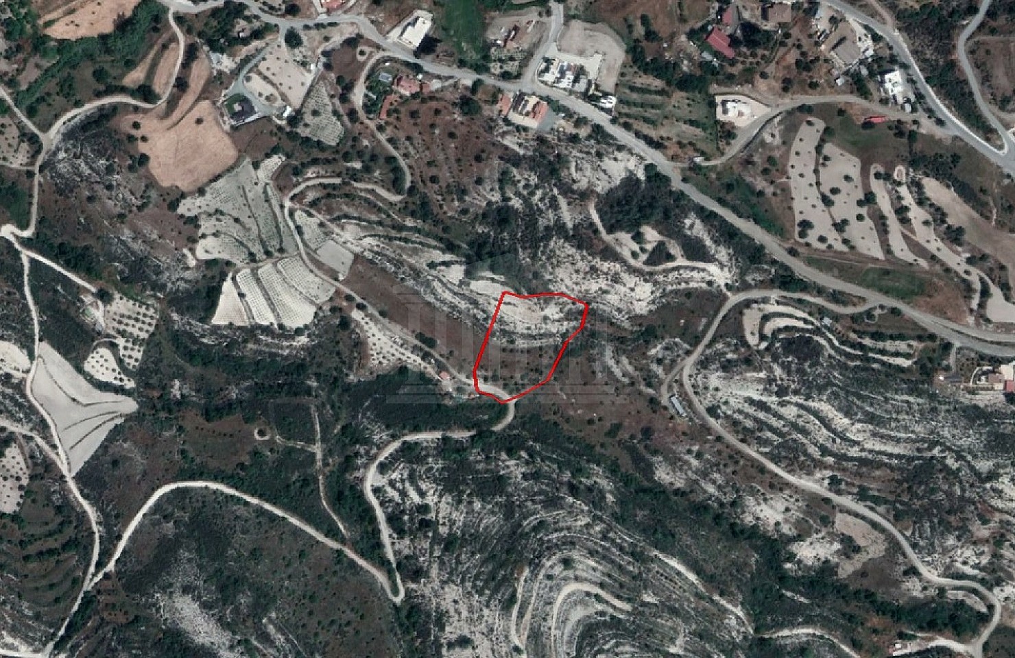 Field in Apsiou, Limassol