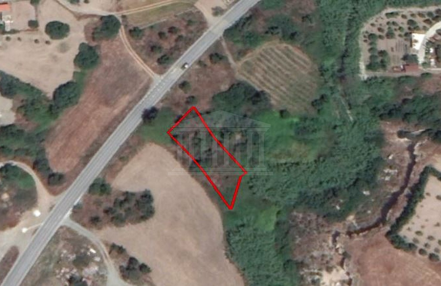 Field in Monagrouli,Limassol