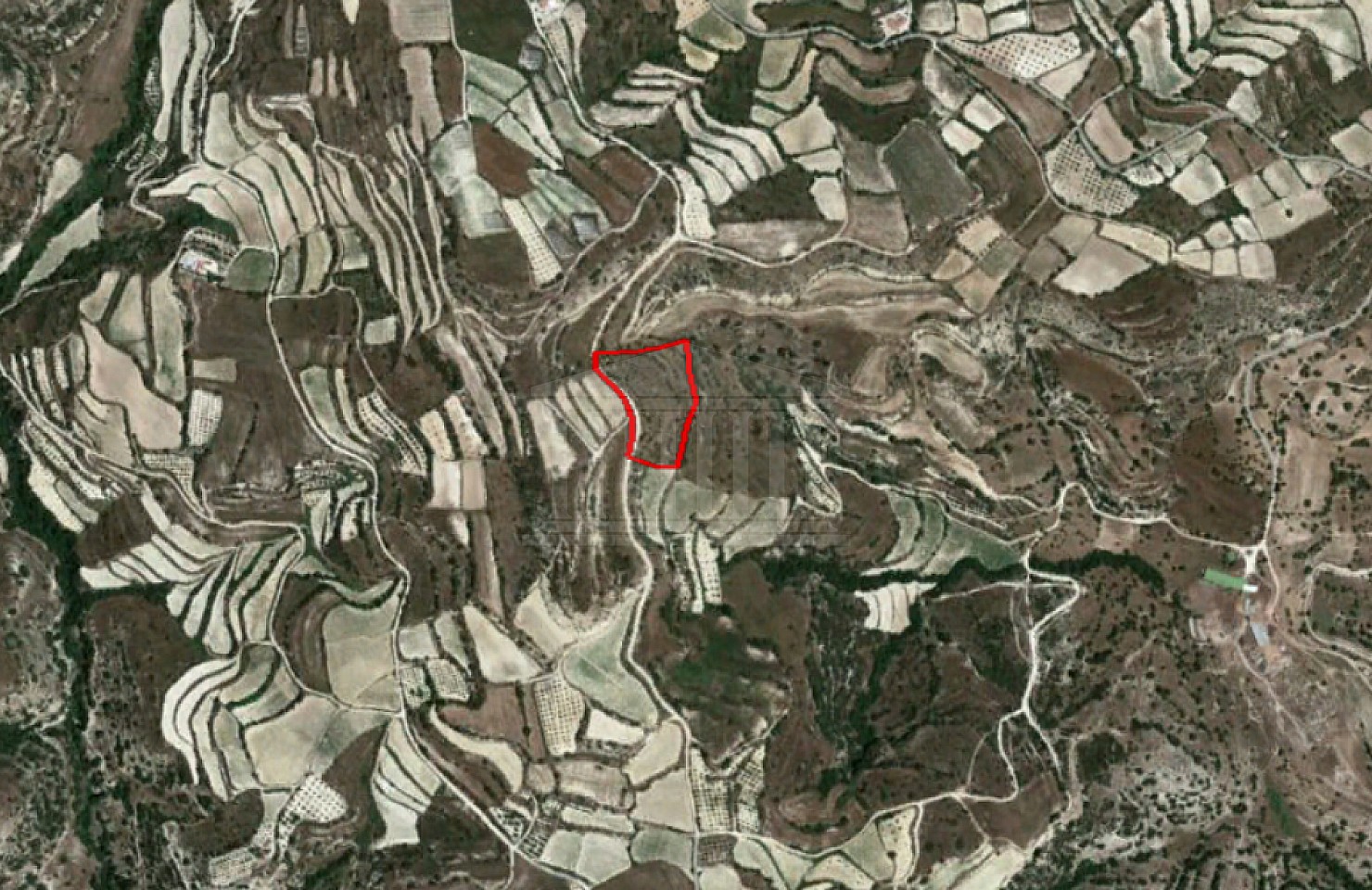 Agricultural Field in Letymvou, Paphos