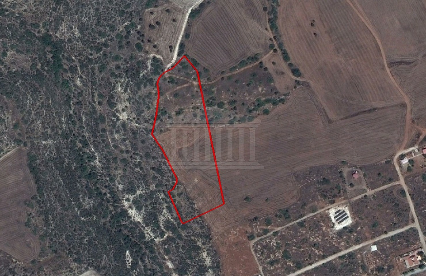 Field in Agios Theodoros, Larnaka