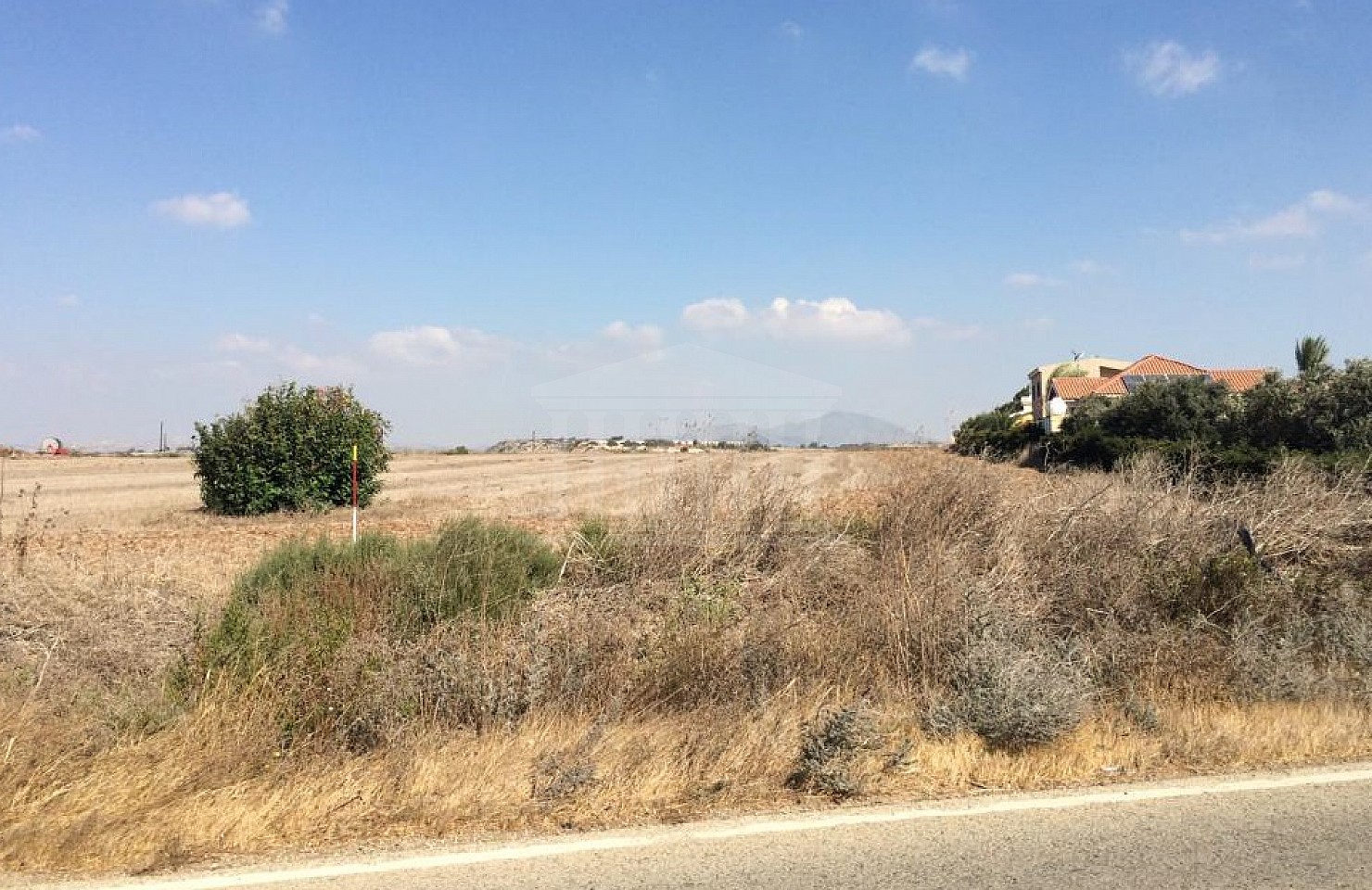 Field in Alaminos, Larnaka