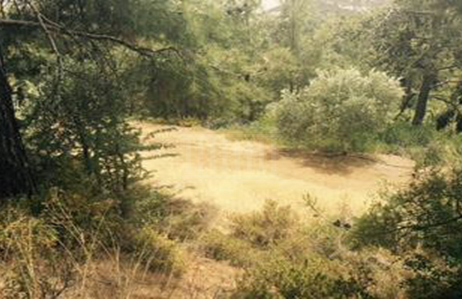8 Adjoining Fields in Moniatis, Limassol