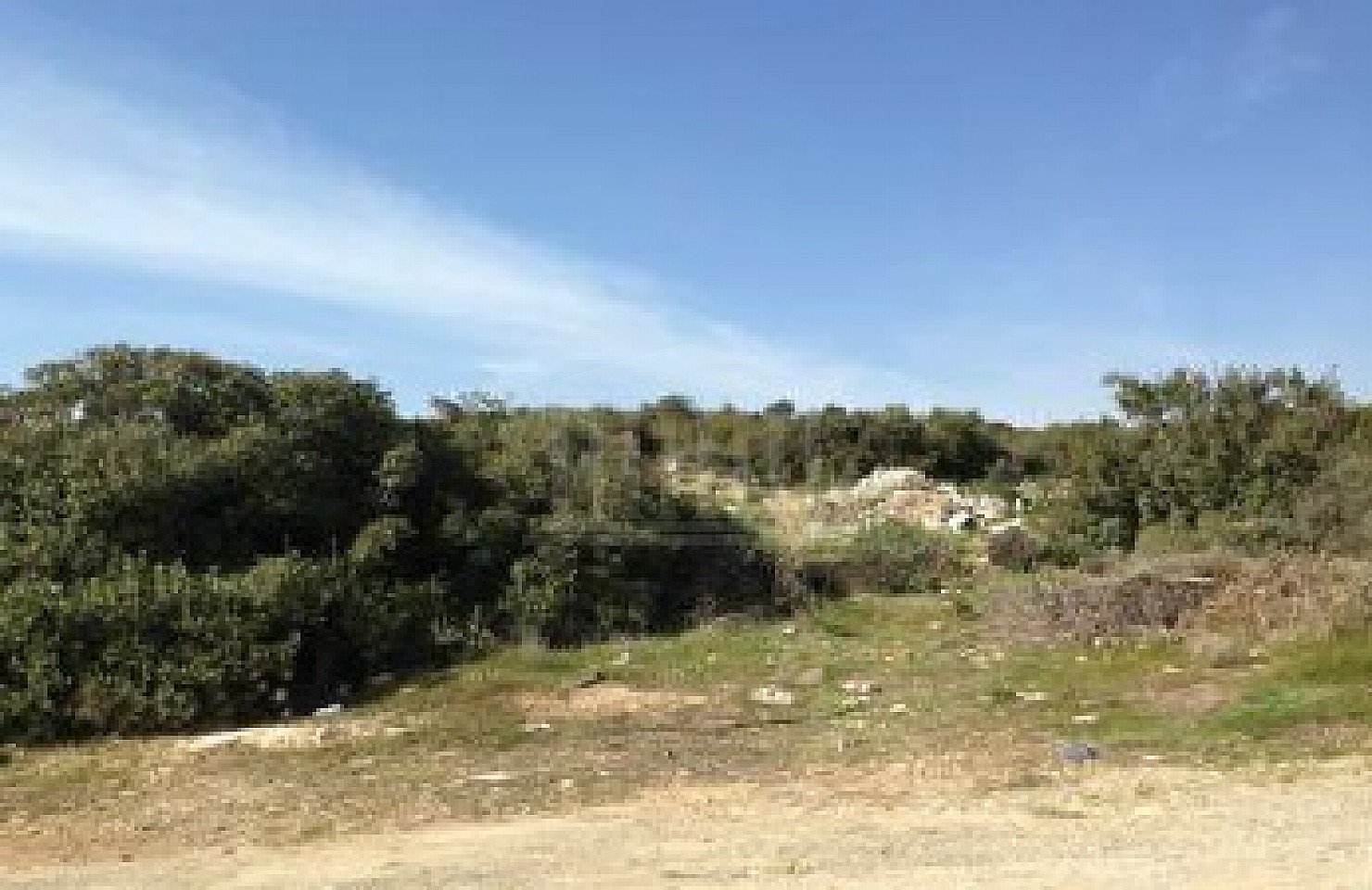 Agricultural Field in Agia Fylaxis, Limassol