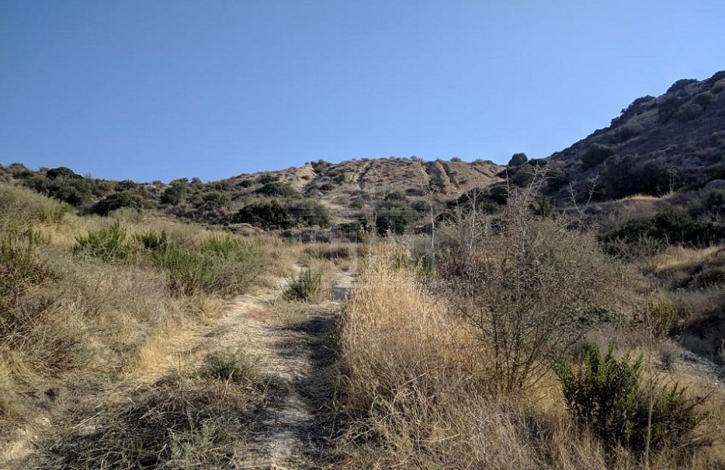 Field in Kalavasos, Larnaka