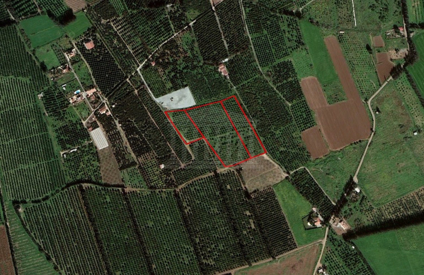 Three Fields in Trachoni, Limassol