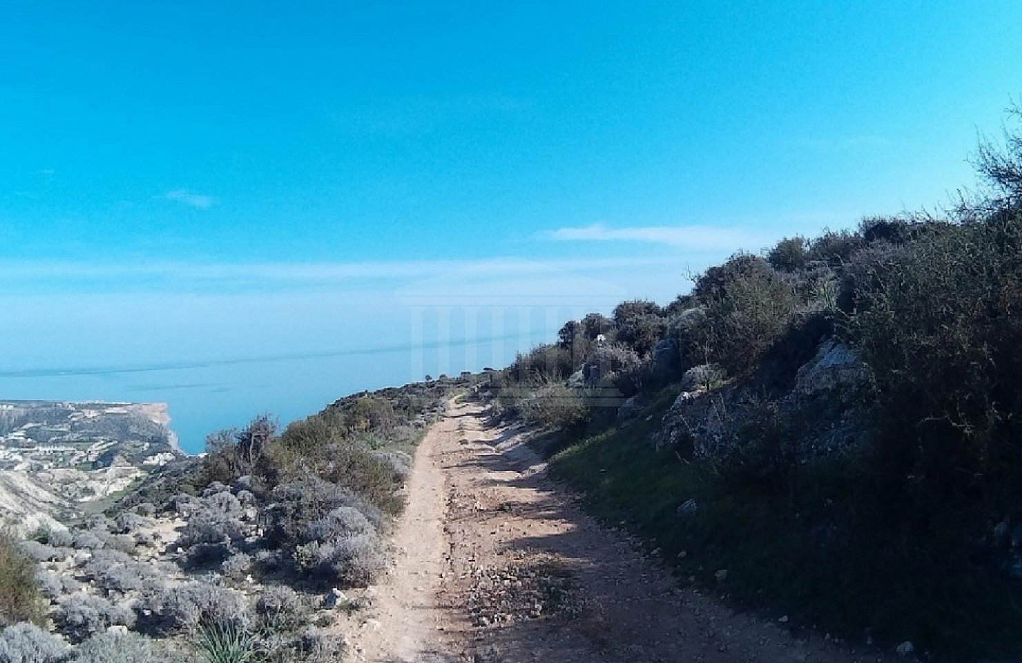 Field in Pissouri, Limassol