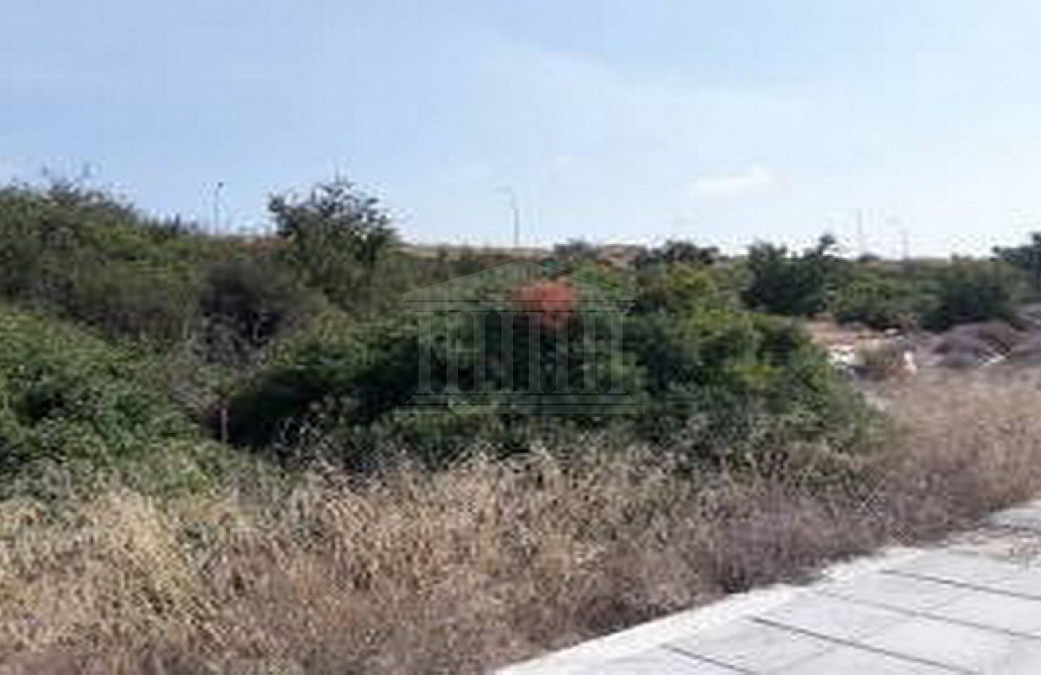 Plot in Pegeia, Paphos