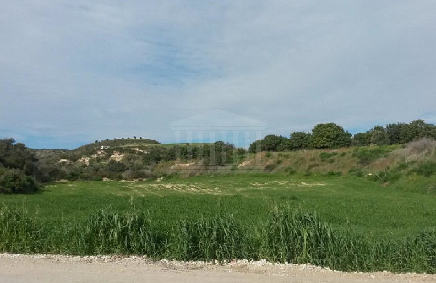 Field in Alaminos, Larnaka