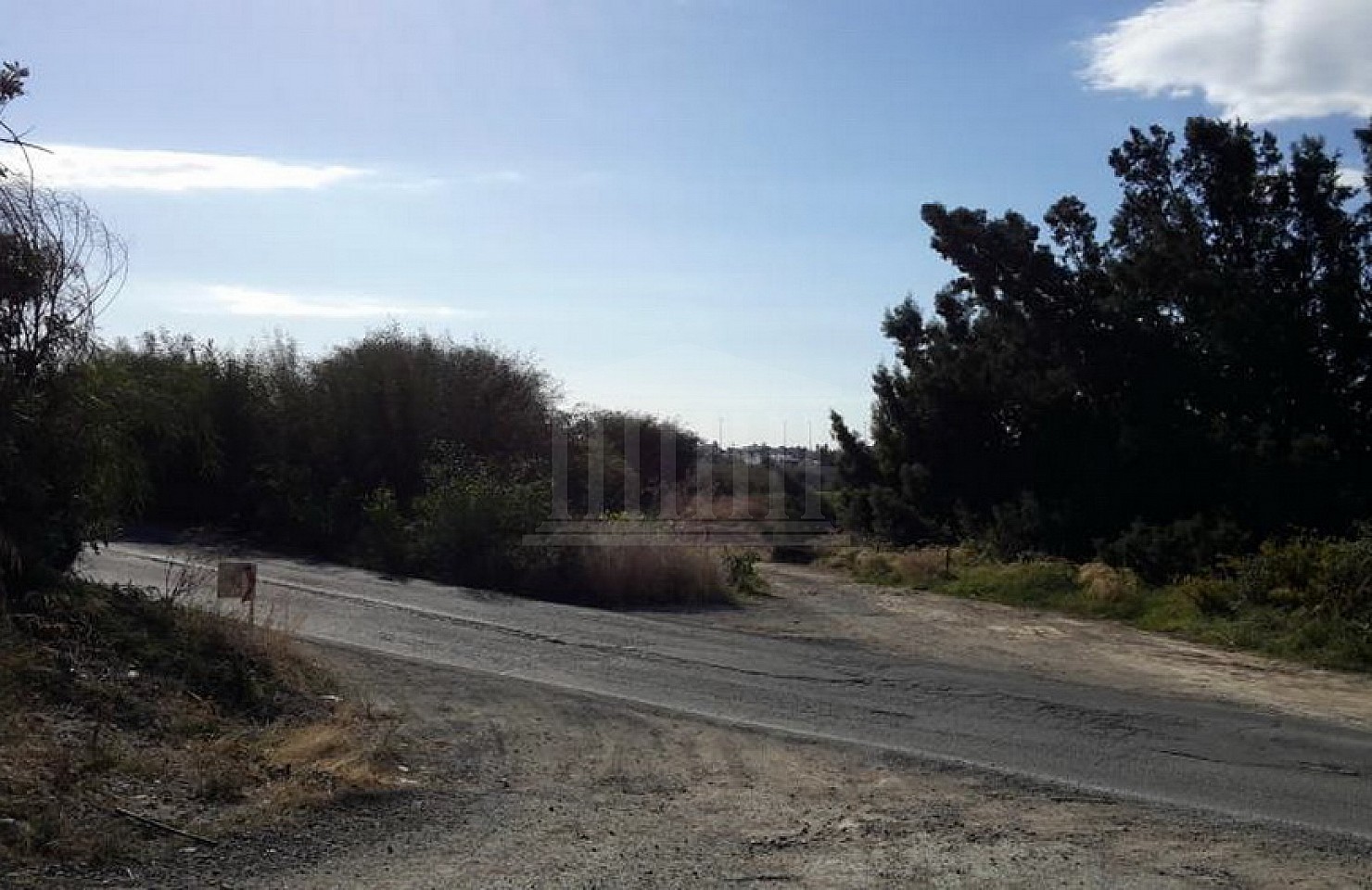 Field in Germasogeia, Limassol