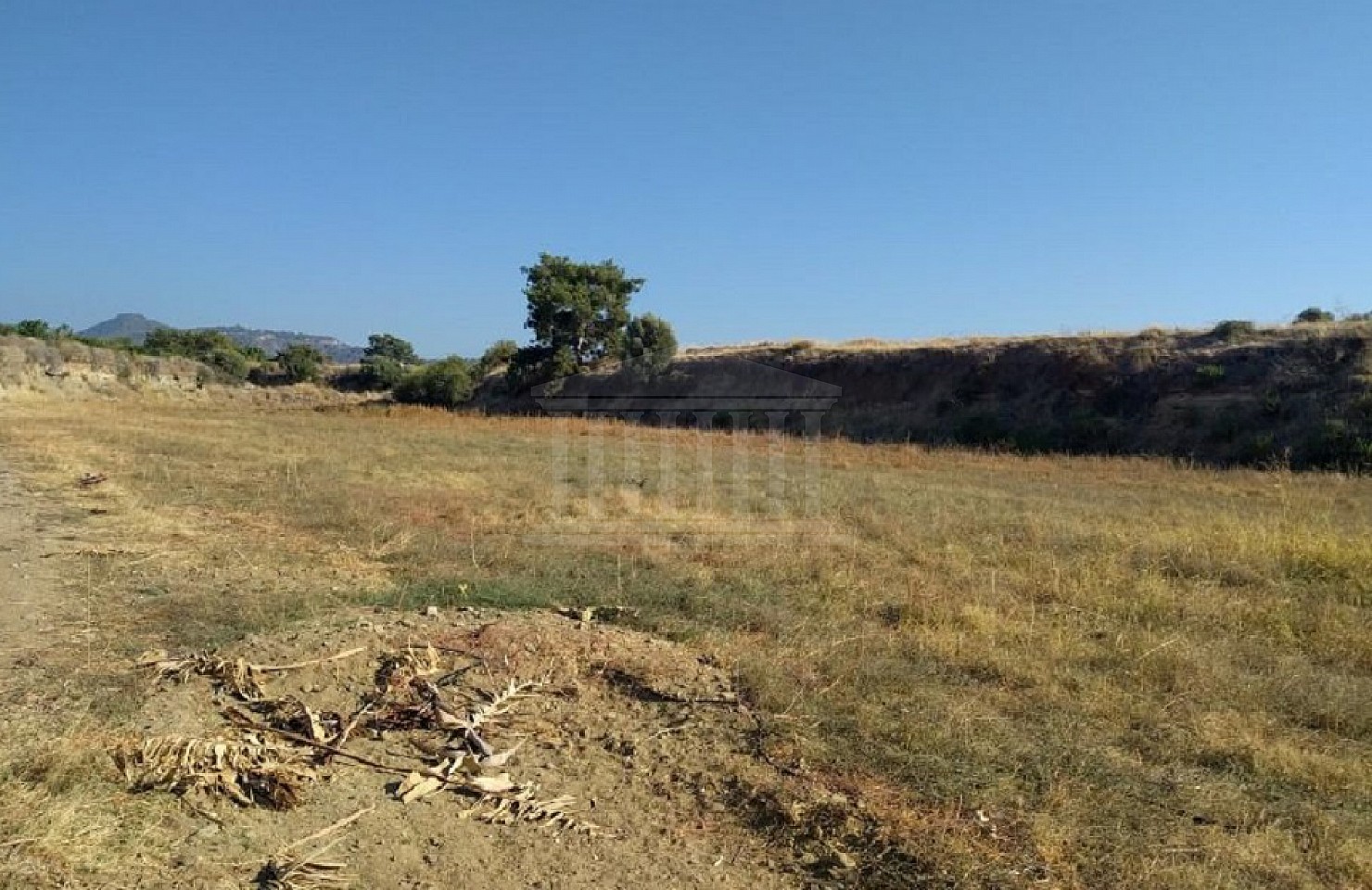 Field in Argaka, Paphos
