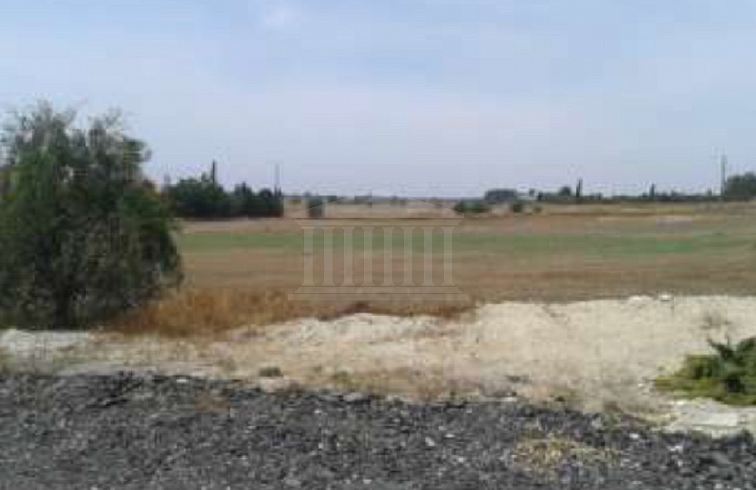 Field in Tersefanou, Larnaka