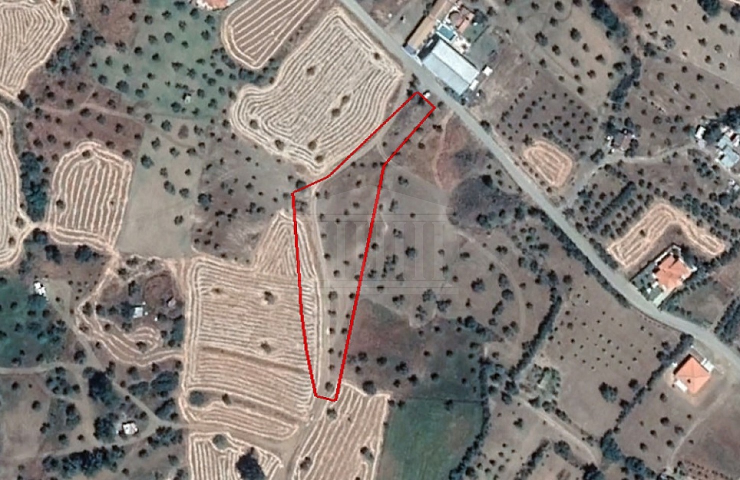 Field in Lythrodontas, Nicosia