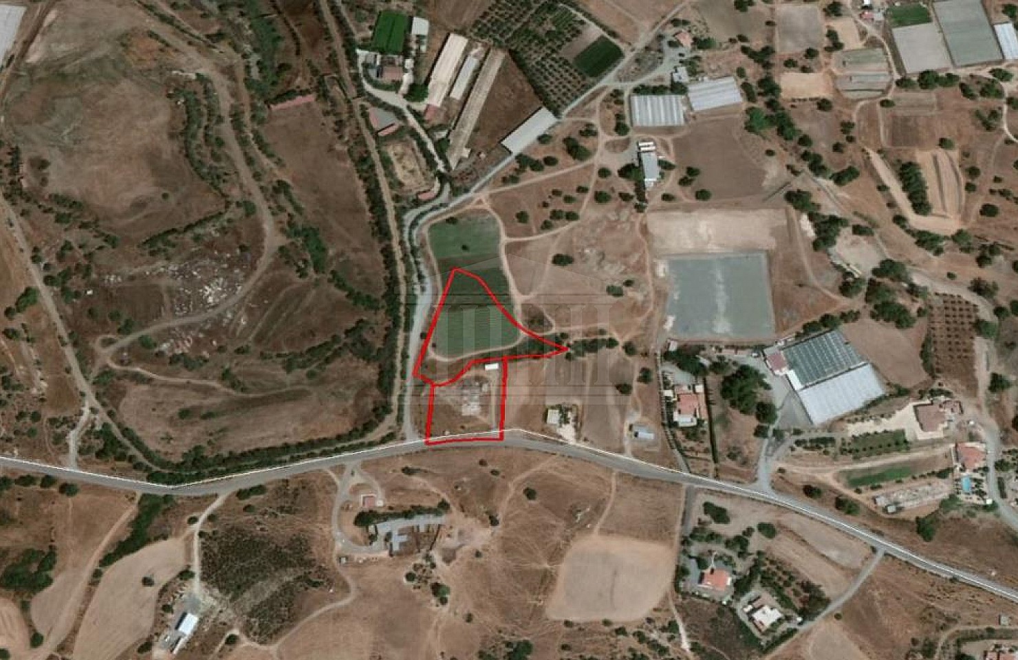 Field in Parekklisia, Limassol