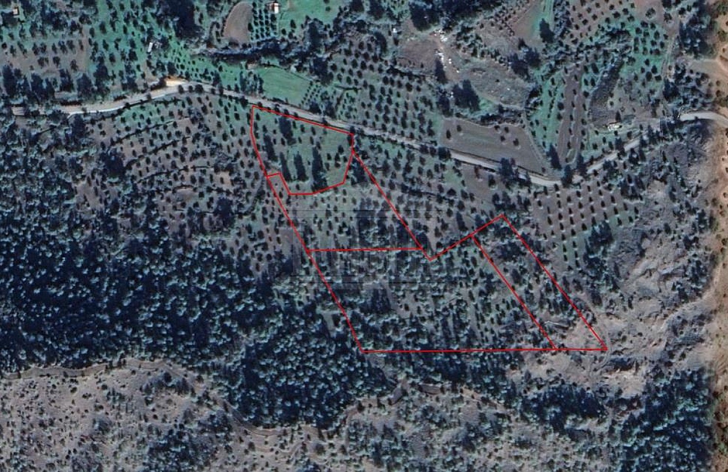 Four Fields in Kornos, Larnaka