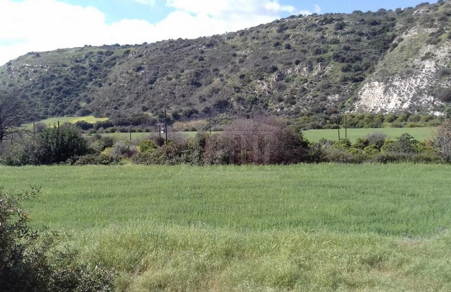 Six Fields in Skarinou, Larnaka