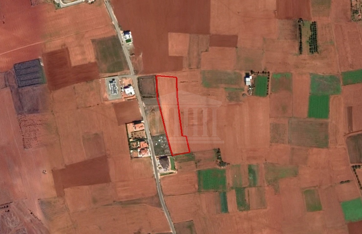 Field in Palaiometocho, Nicosia