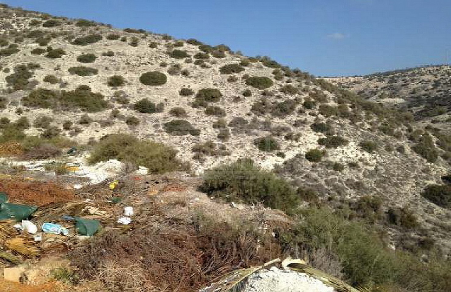 Field in Agios Tychonas