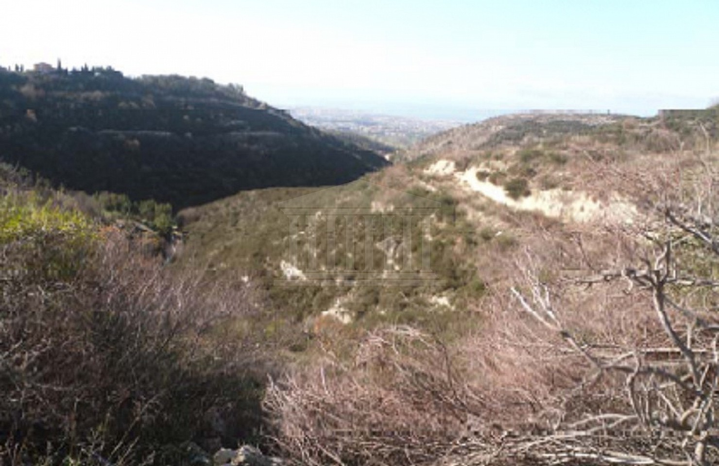 Residential Field in Tsada Village, Paphos