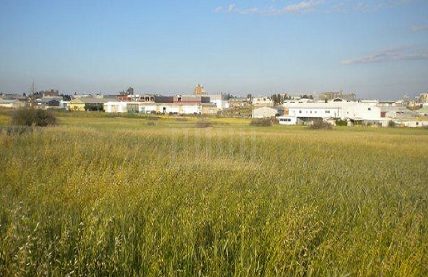 Field in Aradippou, Larnaka