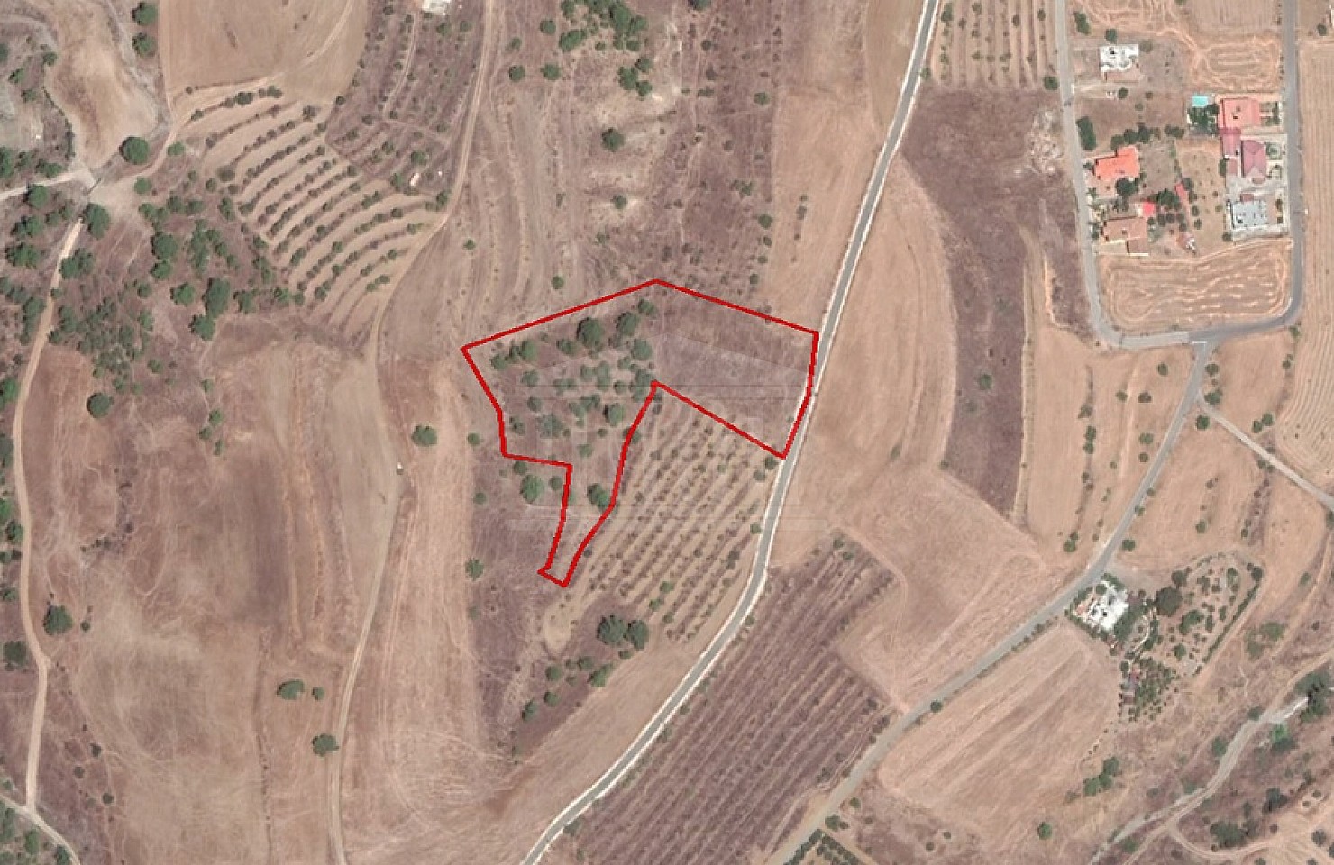Field in Nikitari, Nicosia