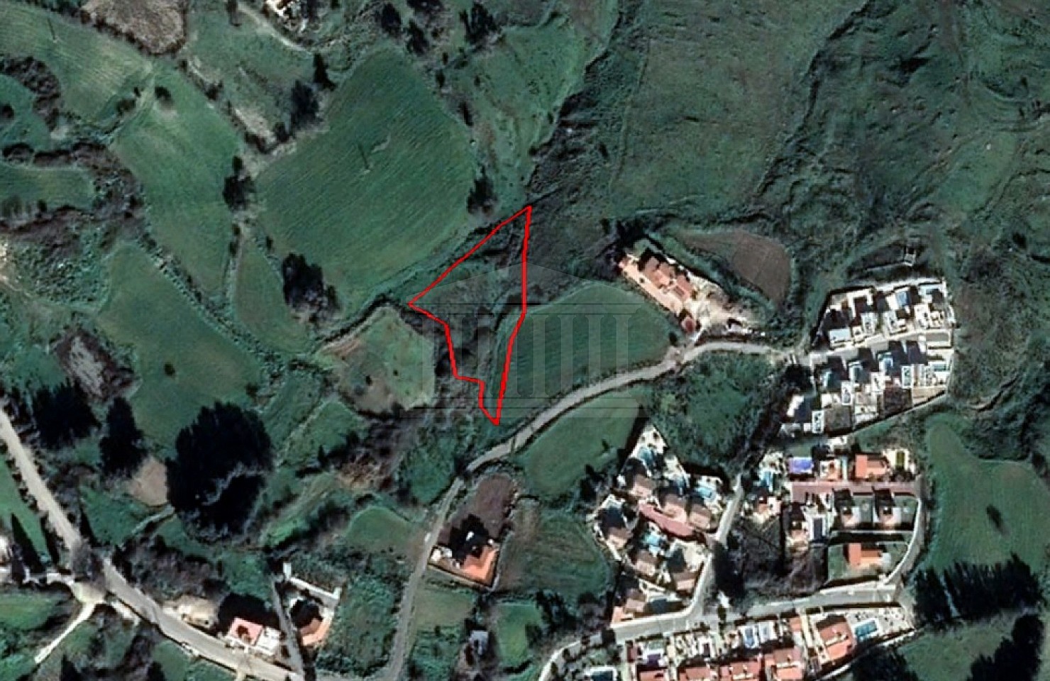 Field in Drouseia, Paphos