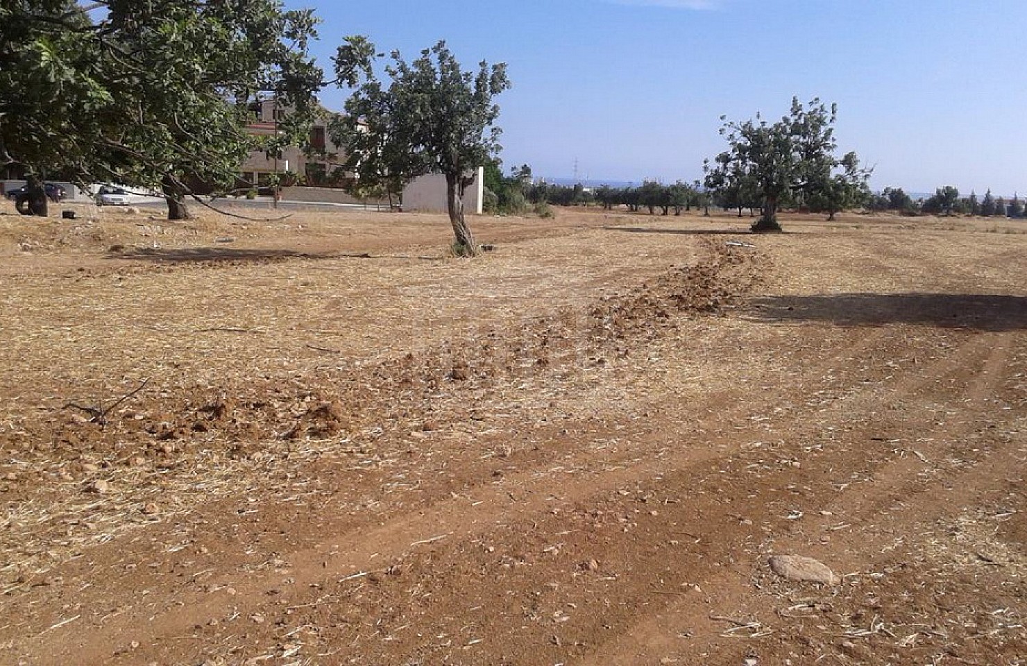 Field in Kato Polemidia, Limassol