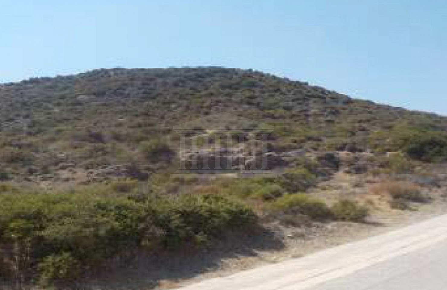 Field in Pigenia, Nicosia