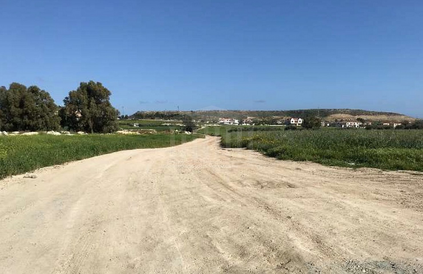 Field in Pyla, Larnaka
