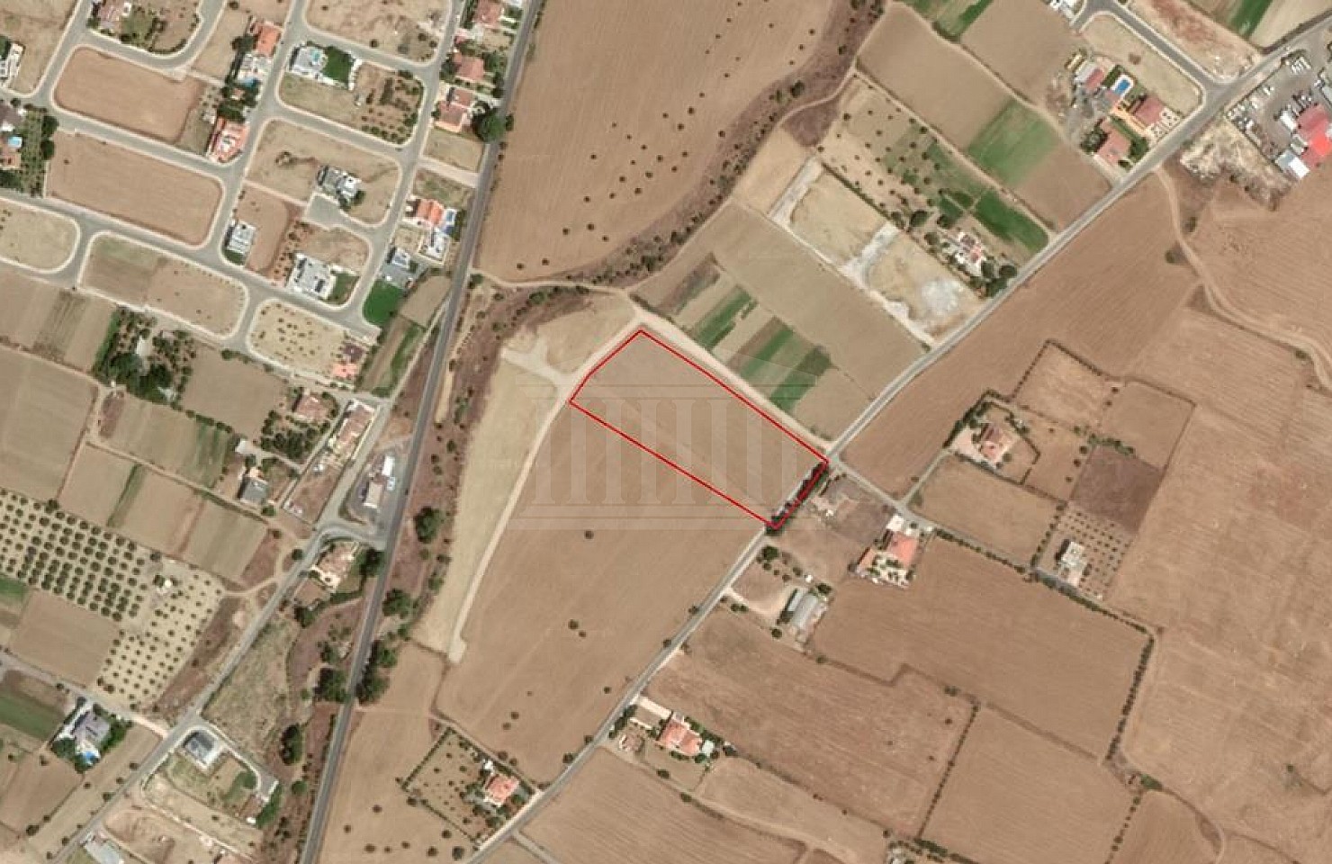 Field in Pano Deftera, Nicosia