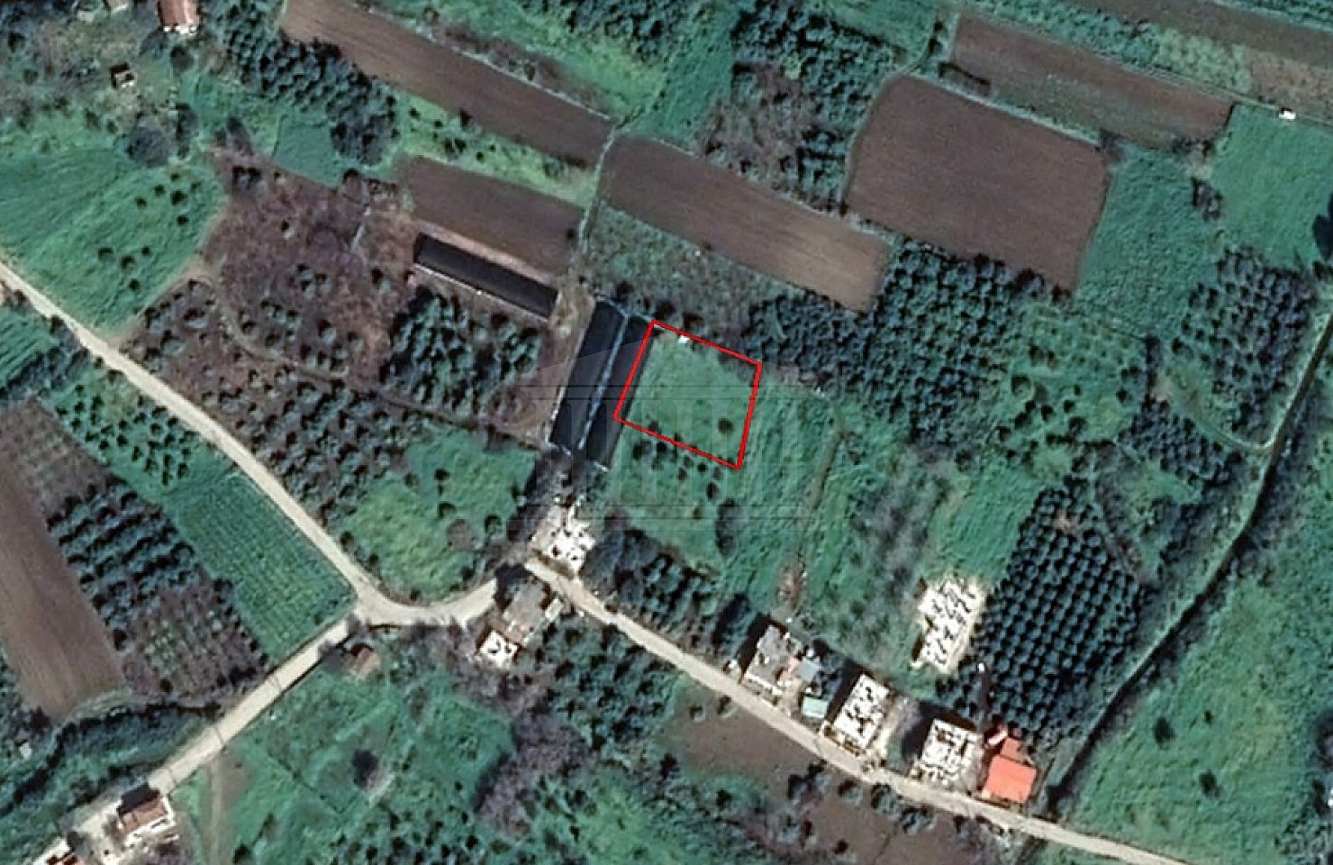 Field in Kato Pyrgos, Nicosia