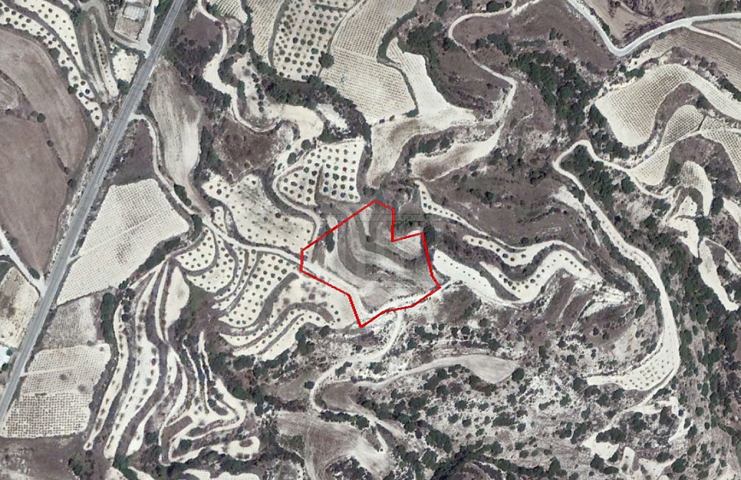 Field in Kallepeia, Paphos