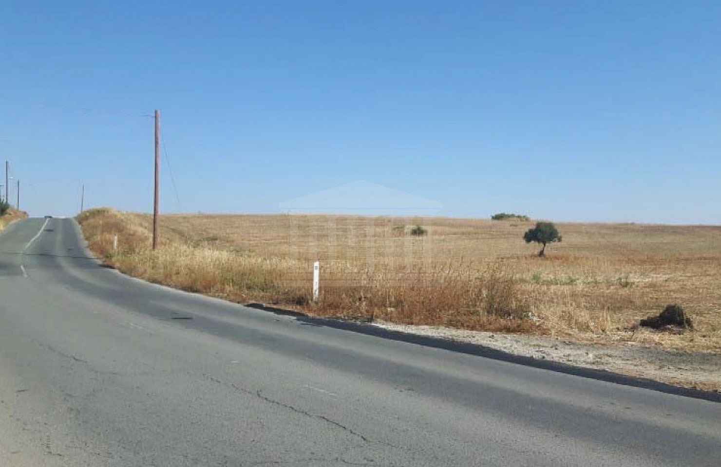 Field in Lakatameia, Nicosia