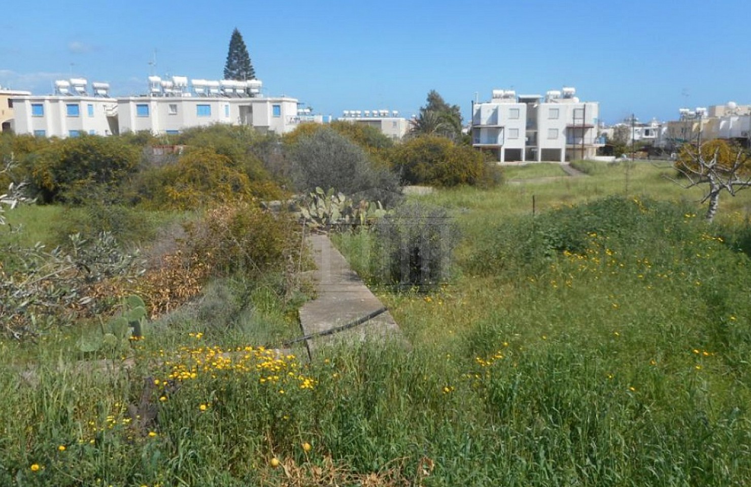 Plot in Paralimni, Ammochostos