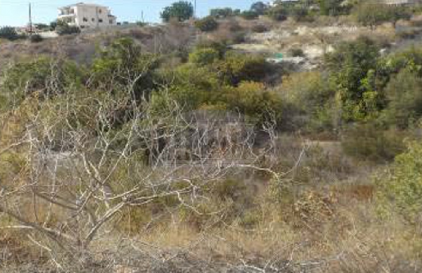 Plot in Tala, Paphos