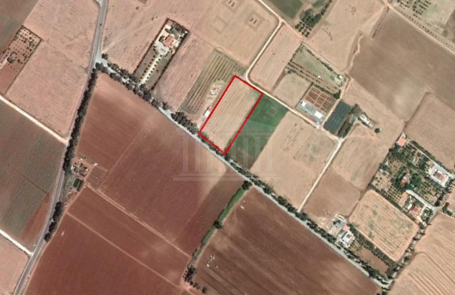 Field in Perivolia, Larnaka