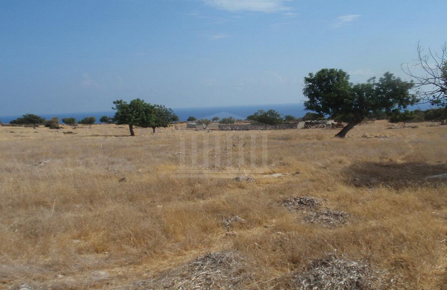 Field in Pissouri
