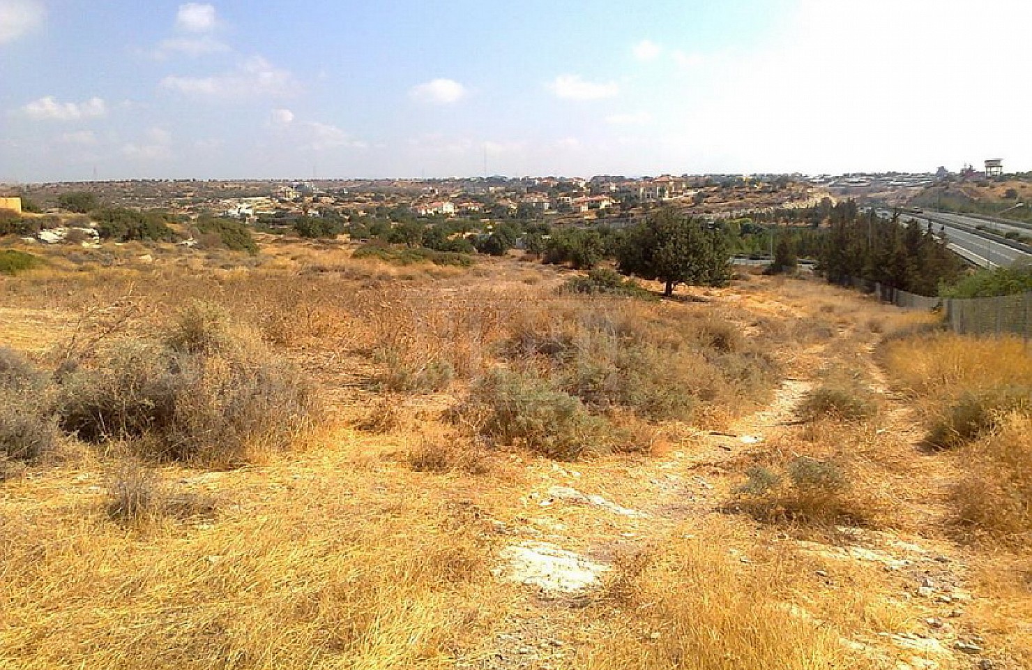 Field in Erimi, Limassol