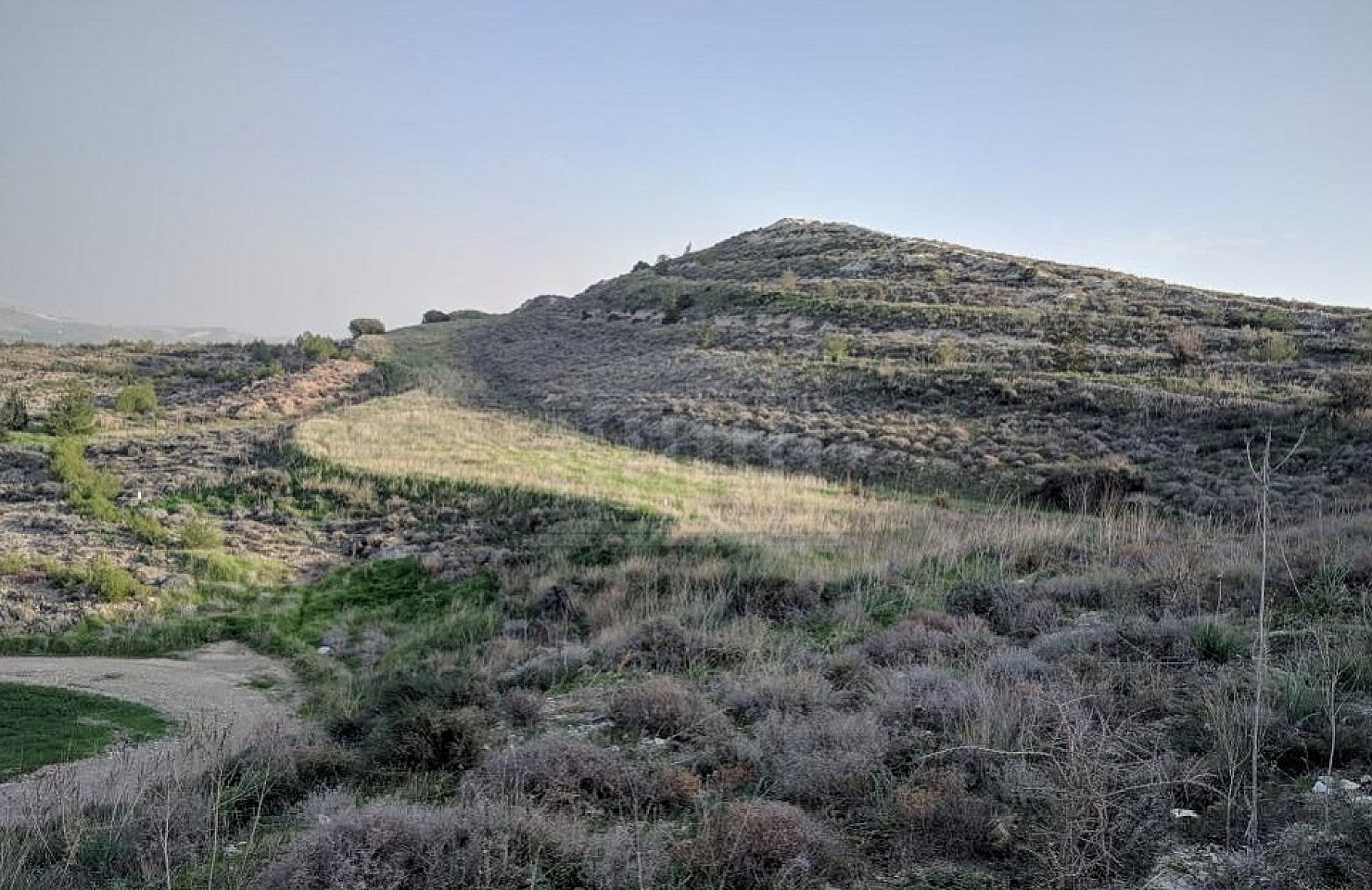 Field in Avdellero, Larnaka